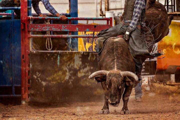 Truckee Pro Rodeo Event